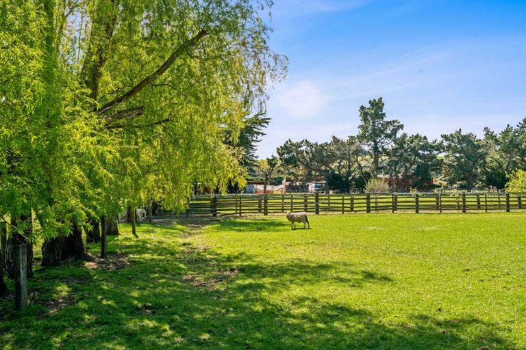 Photo of property in 16/20 Duck Pond Road, Motukarara, Christchurch, 7672