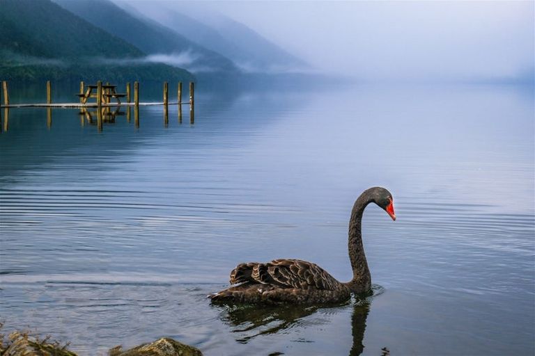 Photo of property in 53 Porika Road, Rotoroa, Murchison, 7077