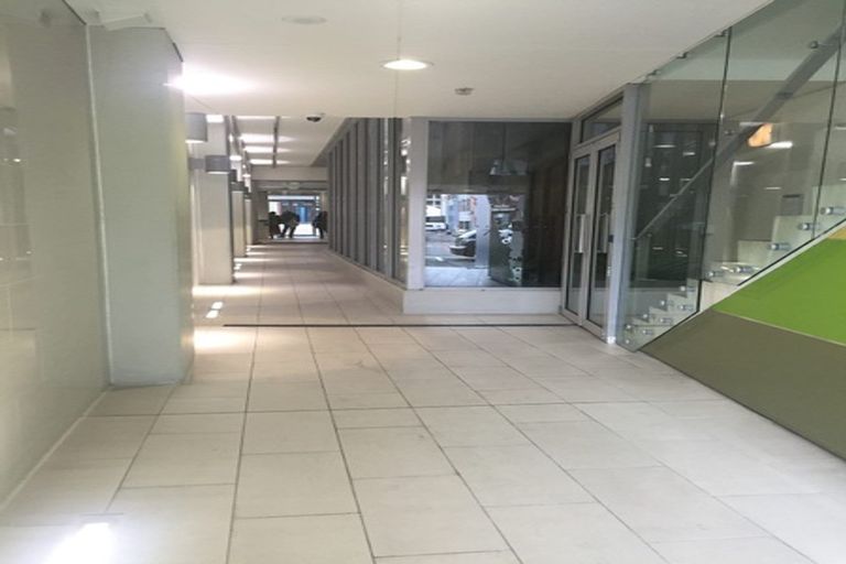 Photo of property in Soho Apartments, 908/74 Taranaki Street, Te Aro, Wellington, 6011