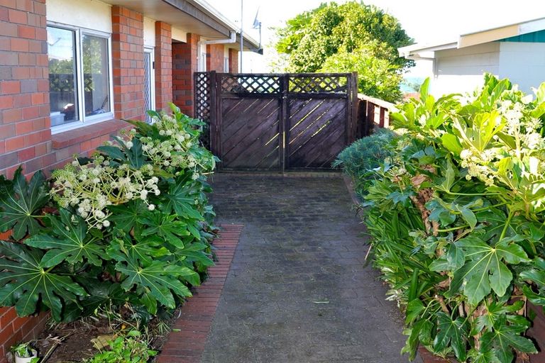 Photo of property in 20a Mayor View Terrace, Waihi Beach, 3611