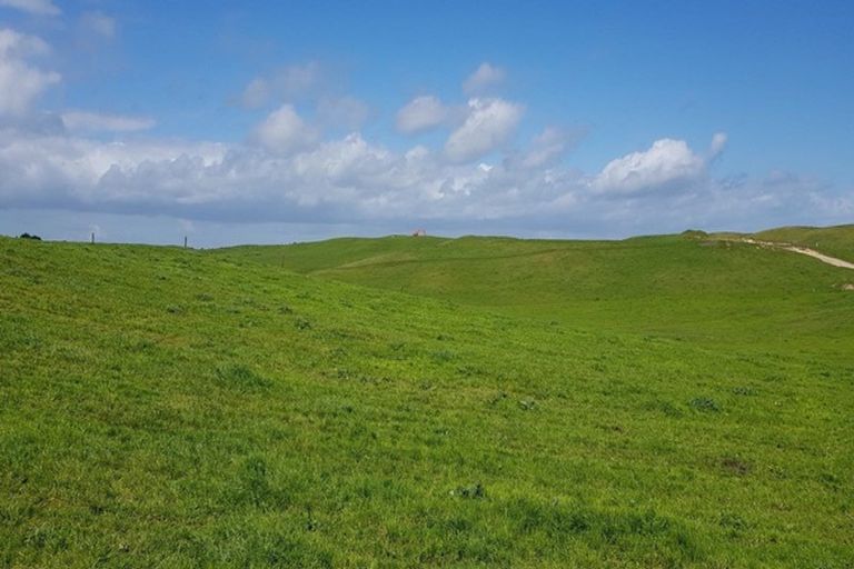 Photo of property in 110a Colville Road, Dargaville, 0371