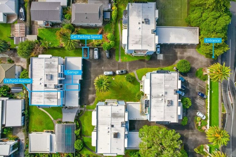 Photo of property in 11a Puriri Avenue, Orewa, 0931