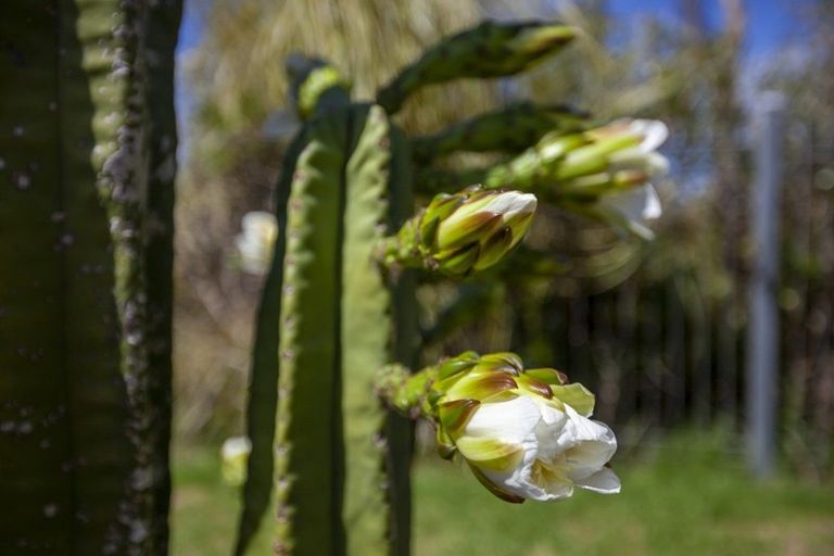 Photo of property in 263 Manly Street, Paraparaumu Beach, Paraparaumu, 5032