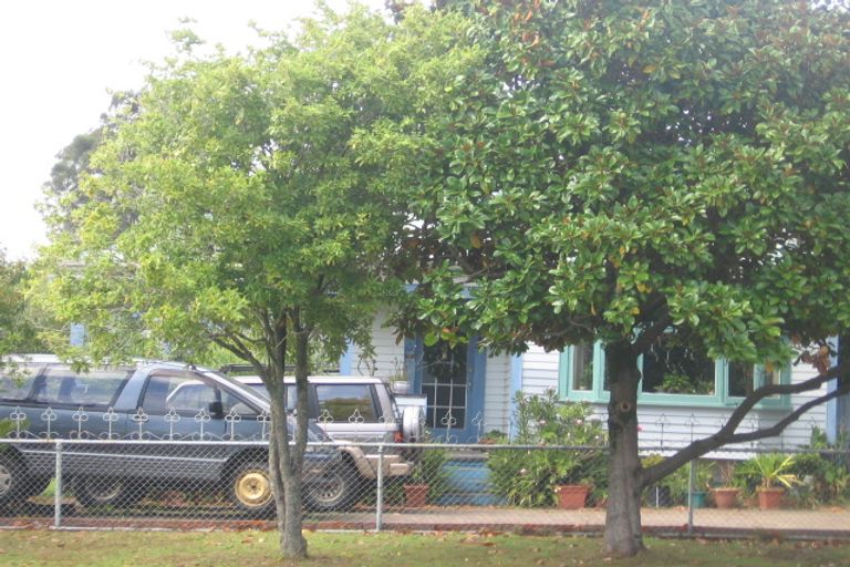 Photo of property in 21 Rata Street, New Lynn, Auckland, 0600