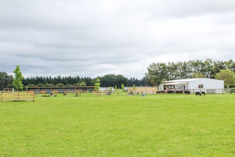 Photo of property in 39 Laws Road, Dannevirke, 4972