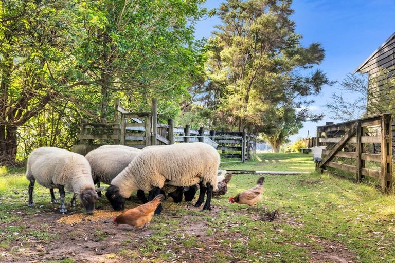 Photo of property in 158 Mcleod Road, South Head, Helensville, 0874