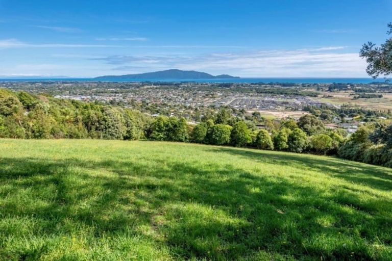 Photo of property in 53e Kotare Street, Waikanae, 5036