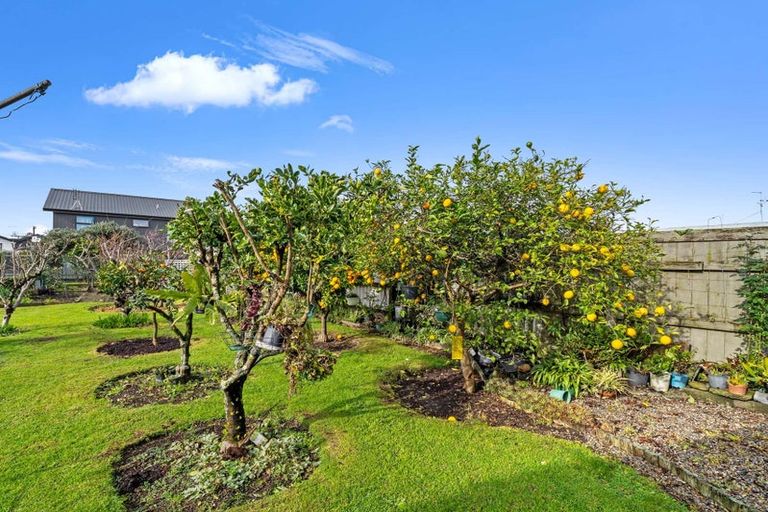 Photo of property in 35 Sherson Street, Gate Pa, Tauranga, 3112