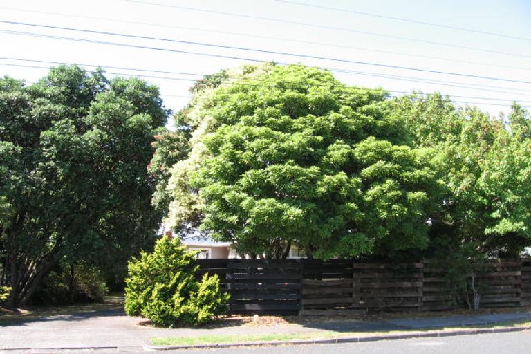 Photo of property in 41 Gilliam Street, New Lynn, Auckland, 0600