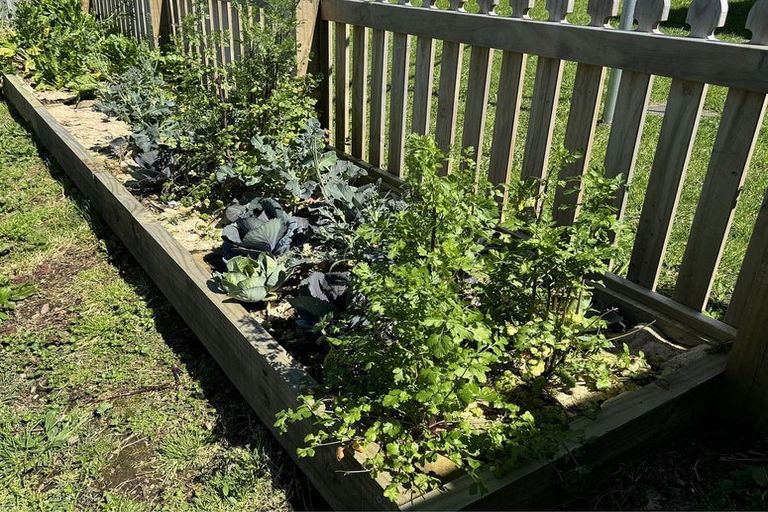 Photo of property in 6 Baker Street, Waihi, 3610