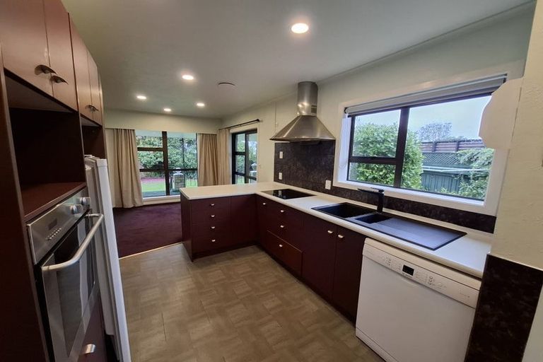 Photo of property in 3 Barclay Street, Ferndale, New Plymouth, 4310