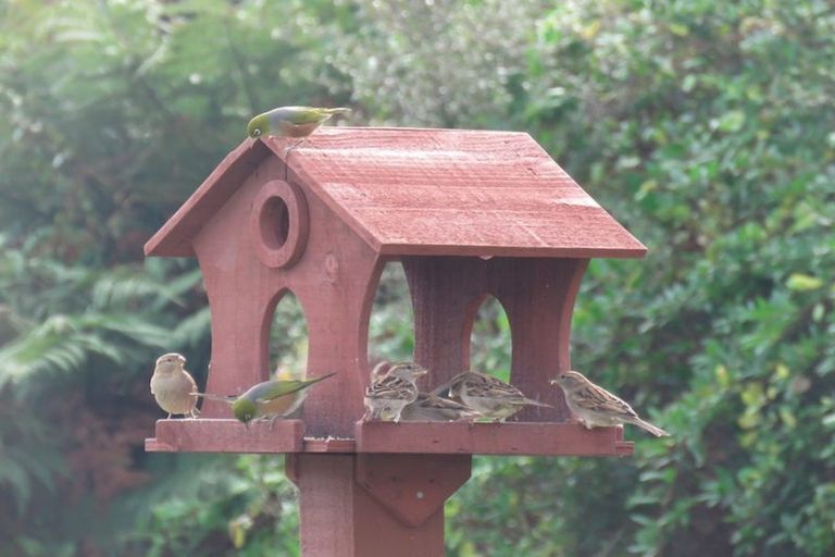 Photo of property in 1 Tramway Street, Ross, 7812