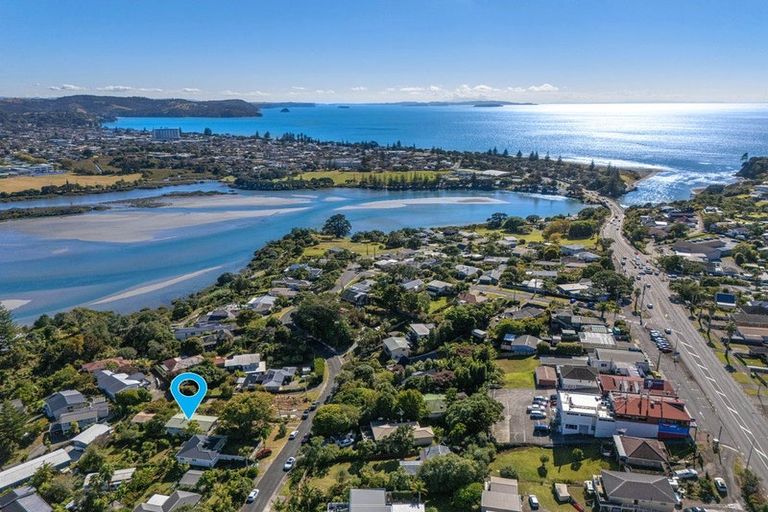 Photo of property in 16 Pohutukawa Avenue, Red Beach, 0932