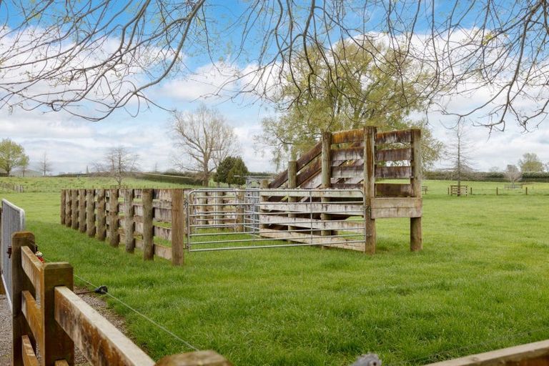 Photo of property in 160 Tower Road, Matamata, 3471