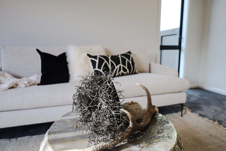 Photo of property in 4 Samuel Place, Terrace End, Palmerston North, 4410