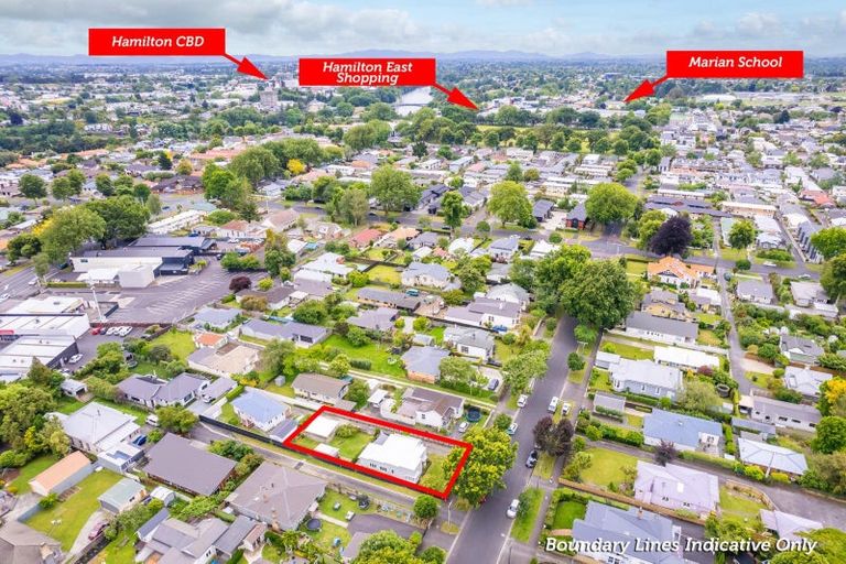 Photo of property in 31 Firth Street, Hamilton East, Hamilton, 3216