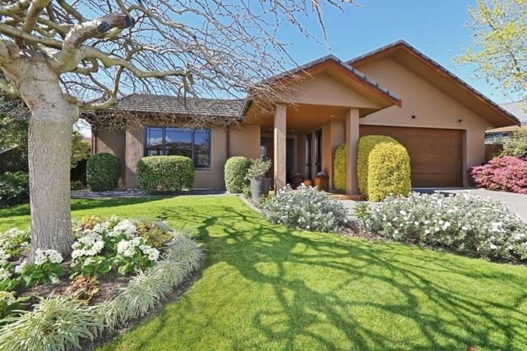 Photo of property in 58 Palmbrook Avenue, Havelock North, 4130