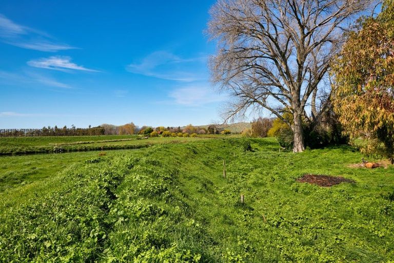 Photo of property in 55 Park Terrace, Blenheim, 7201