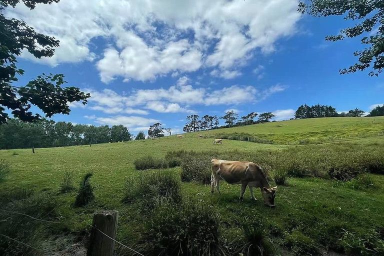 Photo of property in 654 Inland Road, Helensville, 0875