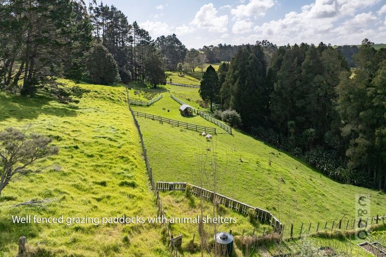 Photo of property in 93 Alf Access Road, Helensville, 0875