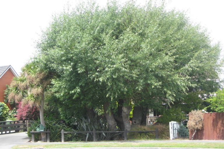 Photo of property in 14 Ketton Place, St Albans, Christchurch, 8052