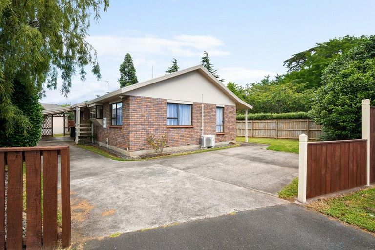 Photo of property in 246 Clyde Street, Hamilton East, Hamilton, 3216
