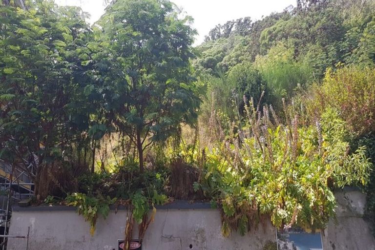 Photo of property in 16 Telford Terrace, Oriental Bay, Wellington, 6011