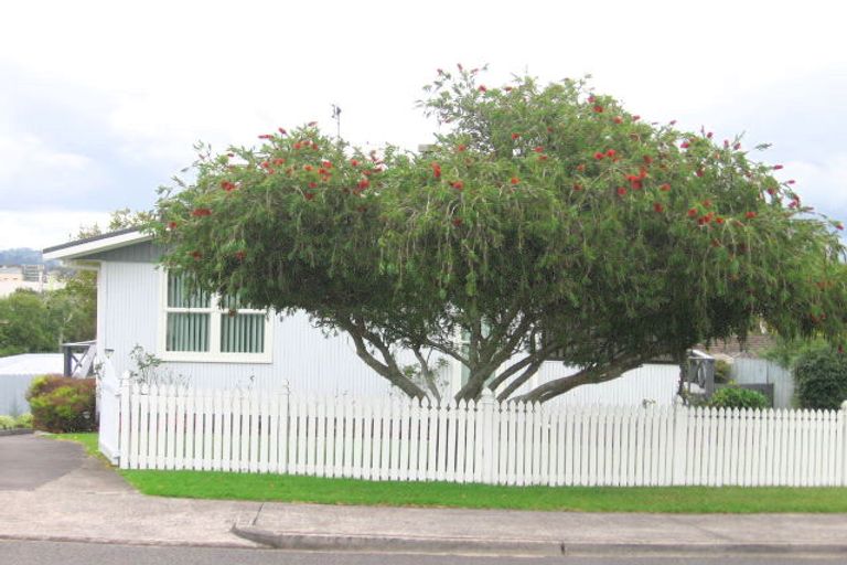 Photo of property in 9 Silver Birch Rise, Henderson, Auckland, 0612