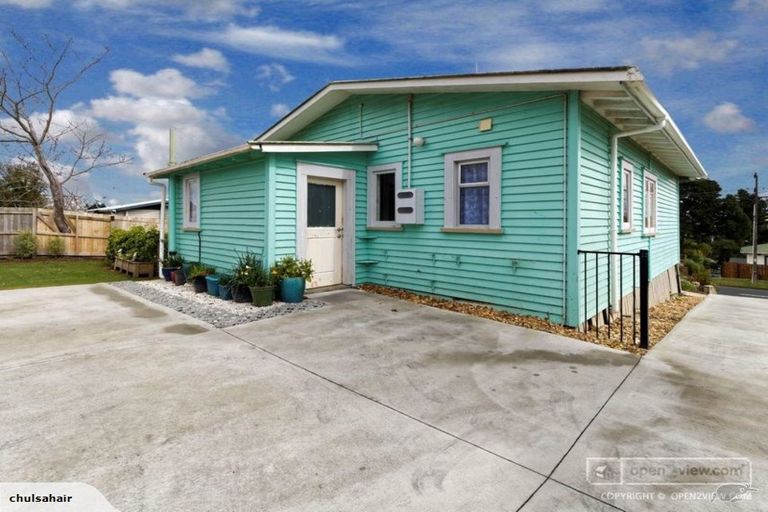 Photo of property in 52 Newington Road, Henderson, Auckland, 0612