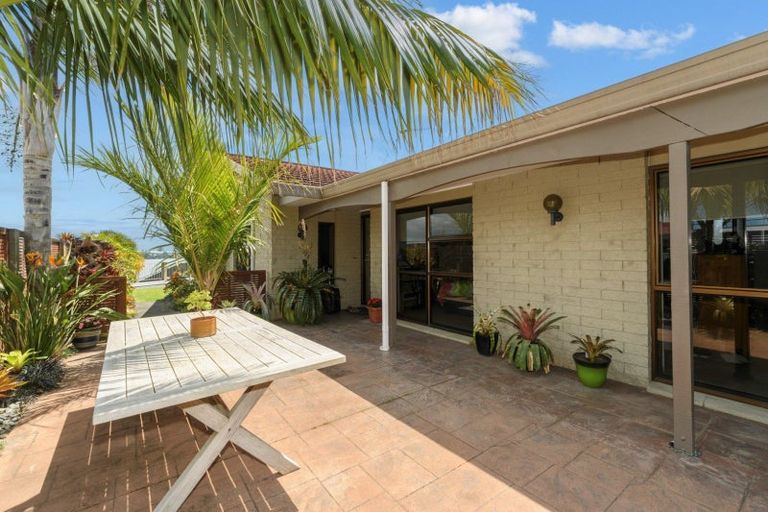 Photo of property in 392 Maungatapu Road, Maungatapu, Tauranga, 3112
