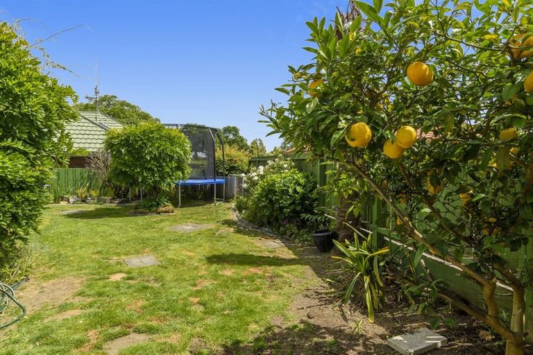 Photo of property in 169c Maungatapu Road, Maungatapu, Tauranga, 3112