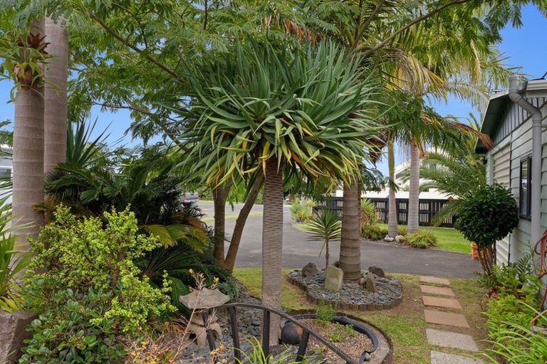 Photo of property in 169 Harbour Road, Ohope, 3121