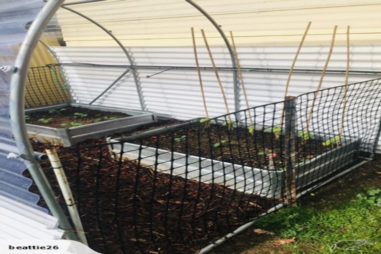 Photo of property in 24 Henderson Street, Otane, 4202