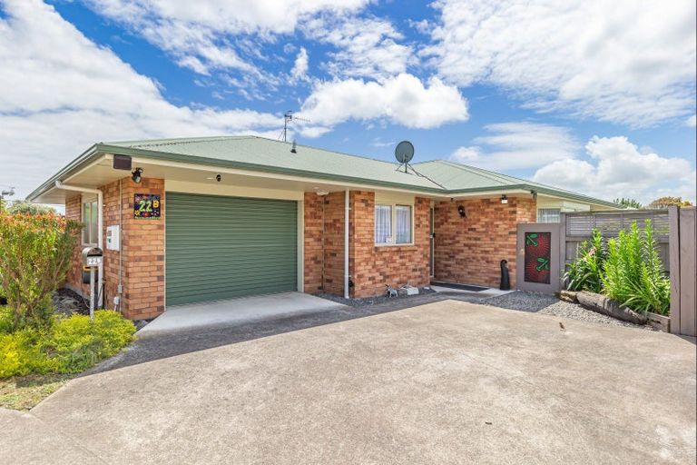 Photo of property in 22b Reeve Street, Levin, 5510
