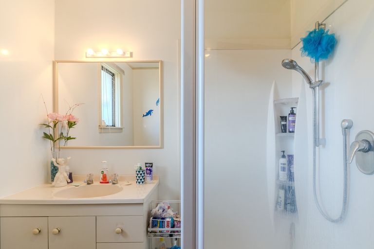 Photo of property in 7 Erskine Place, Saint Clair, Dunedin, 9012