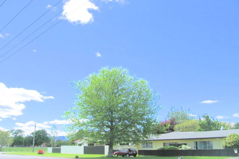 Photo of property in 2b Rata Street, Matamata, 3400