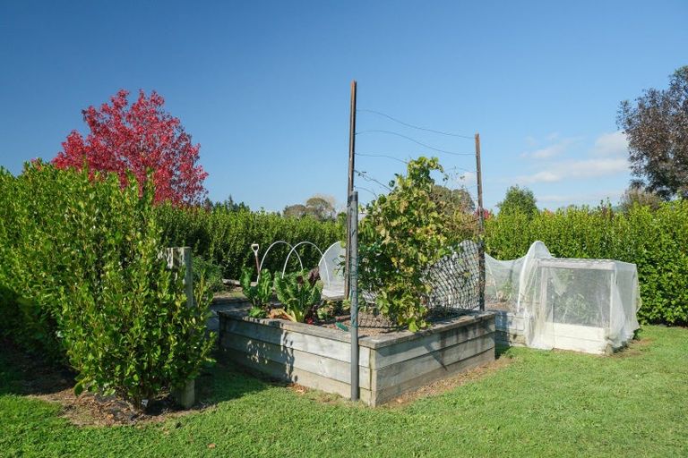 Photo of property in 46 Dalbeth Road, Hamurana, 3072