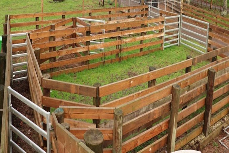 Photo of property in 1394 No 3 Road, Te Puke, 3183