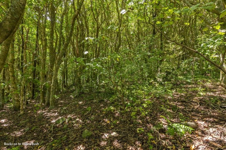 Photo of property in 161 Winara Avenue, Waikanae, 5036