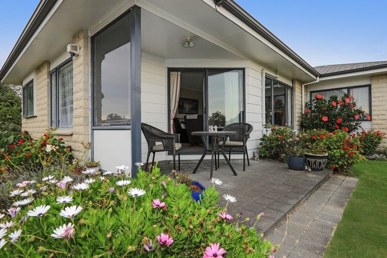 Photo of property in 23 King Street, Taradale, Napier, 4112