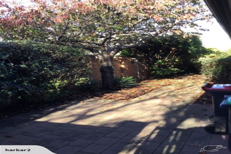 Photo of property in 89 Grafton Street, Waltham, Christchurch, 8011