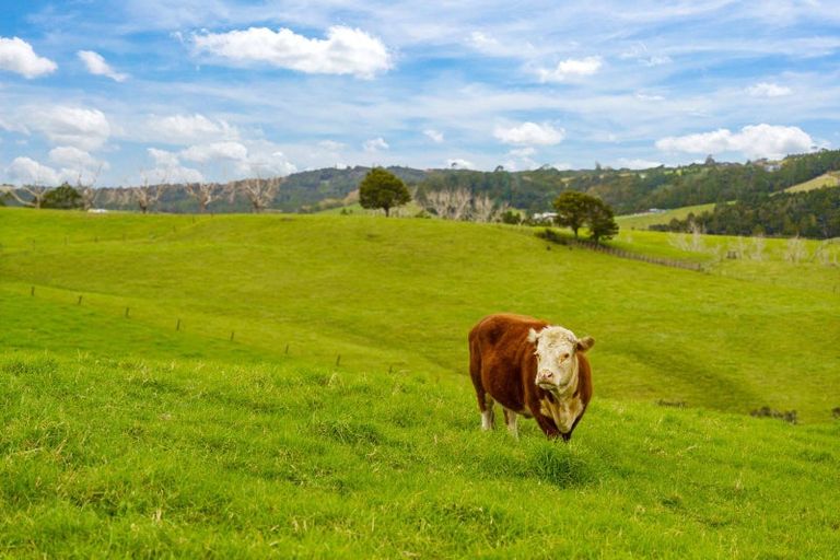 Photo of property in 9/72e Devonport Road, Tauranga, 3110