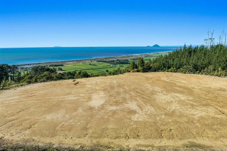 Photo of property in 201 Kokako Heights, Matata, 3194