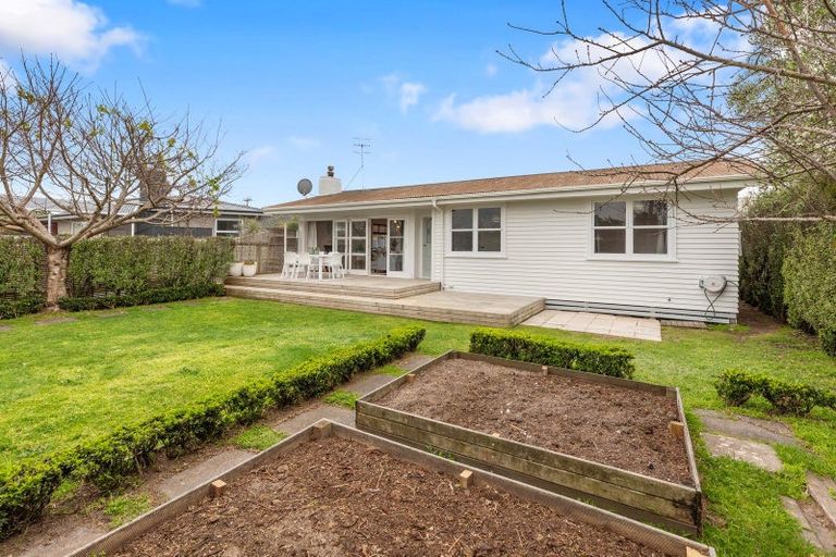 Photo of property in 3a Carysfort Street, Mount Maunganui, 3116