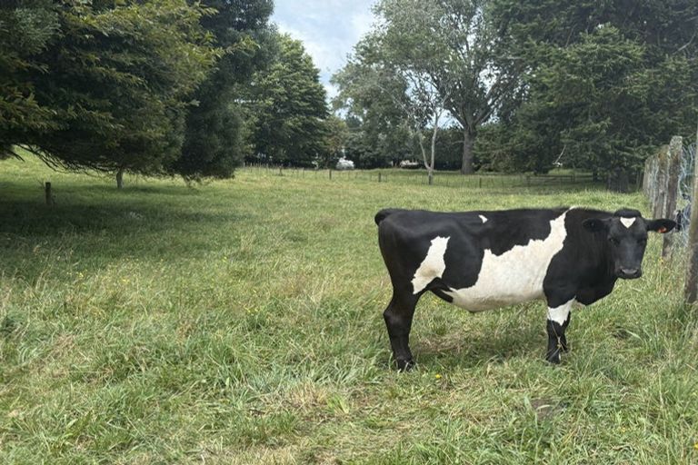 Photo of property in 15 Scott Road, Putaruru, 3483