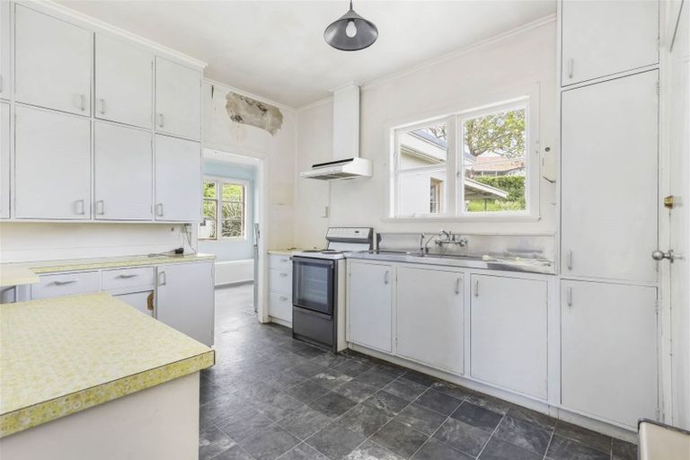 Photo of property in 48 Galway Avenue, Hamilton East, Hamilton, 3216