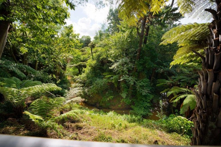 Photo of property in 38 Urlich Avenue, Melville, Hamilton, 3206