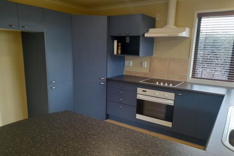 Photo of property in 17 Max Short Drive, Pukekohe, 2120