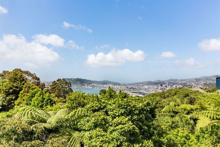 Photo of property in 14 Tensing Place, Khandallah, Wellington, 6035