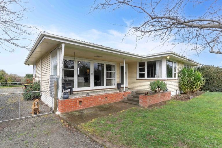 Photo of property in 19 Solway Crescent, Solway, Masterton, 5810